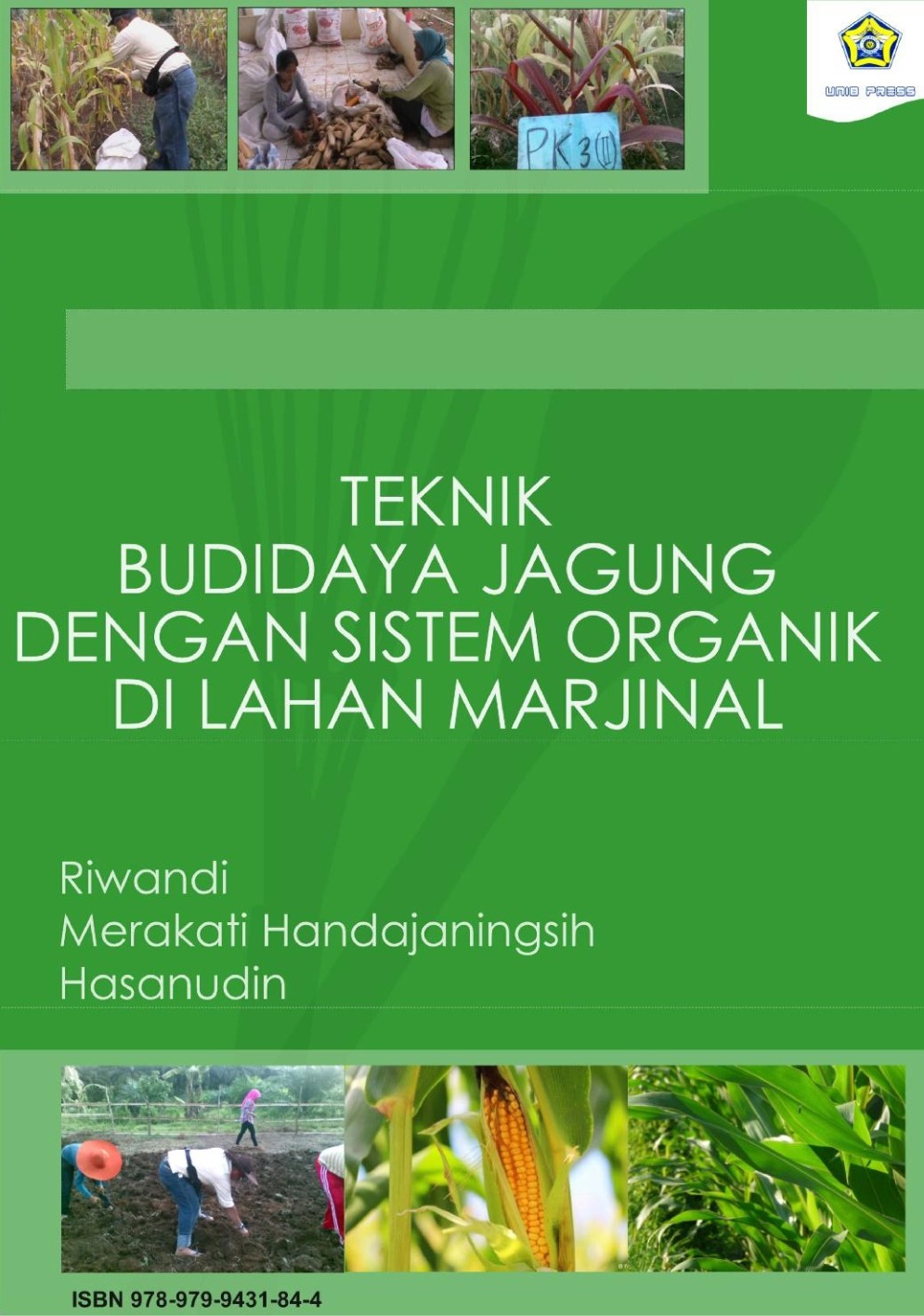 Download Teknik Budidaya Jagung Dengan Sistem Organik Di Lahan Marjinal ...