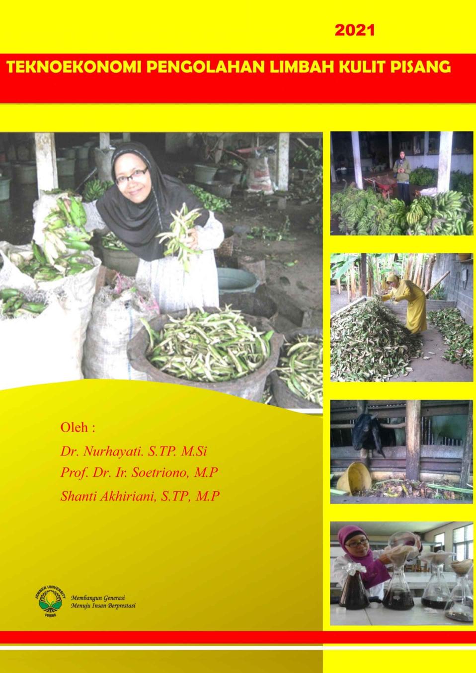 Download Teknoekonomi Pengolahan Limbah Kulit Pisang PDF By Dr ...